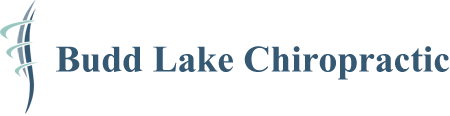 Budd Lake Chiropractic